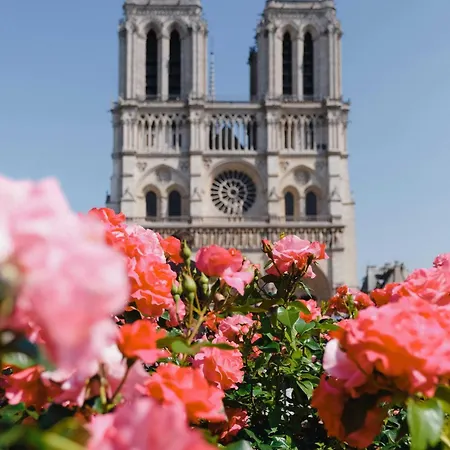 Cozy - 2br-4p - Cathedrale De Notre Da *