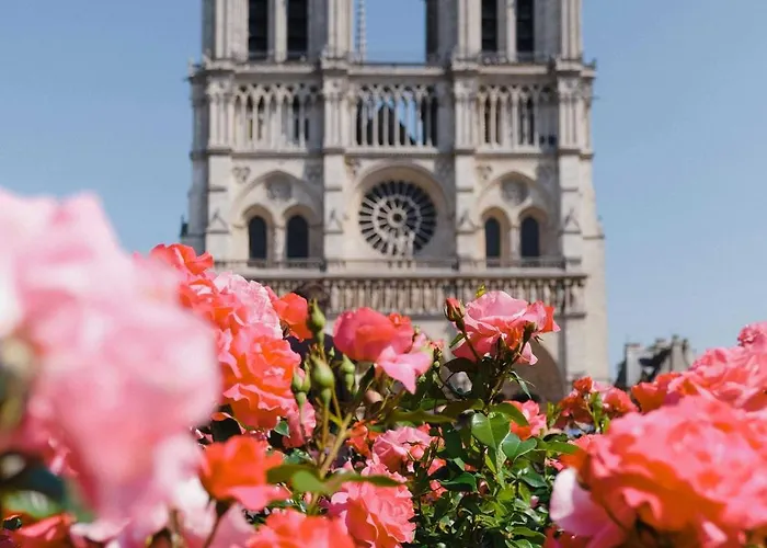 Cozy - 2br-4p - Cathedrale De Notre Da *